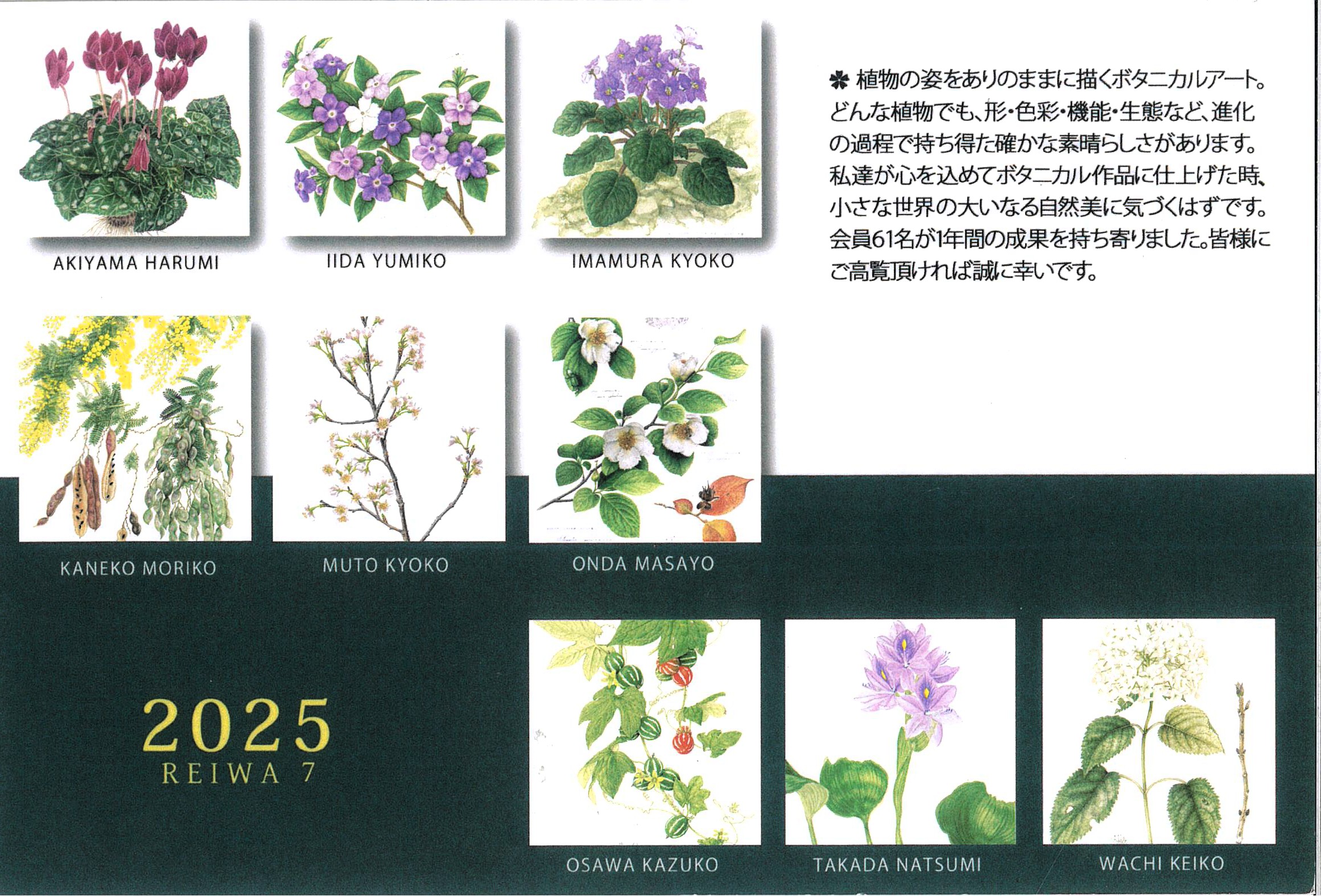 繊細な筆遣いが紡ぐ、ありのままの自然美——心ほどける植物画の世界へ